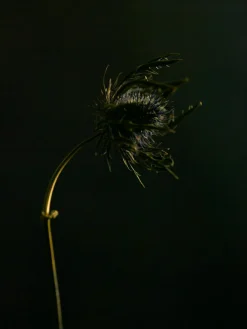 292 Firming Body Serum