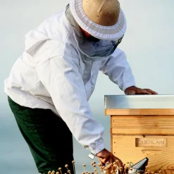 Abeille Royale Double R Advanced Serum