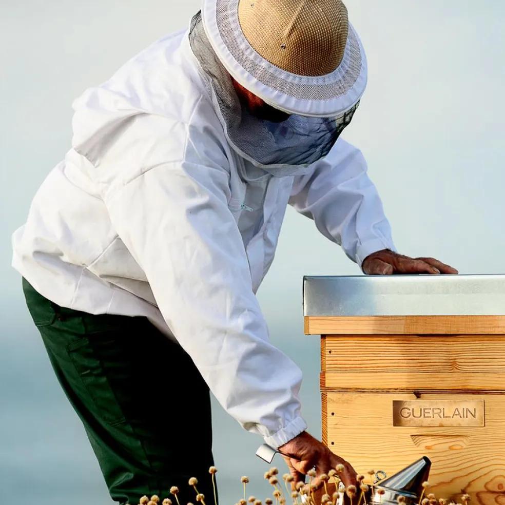 Abeille Royale Double R Advanced Serum