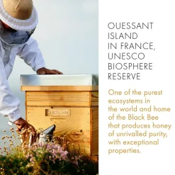 Abeille Royale Hand Balm