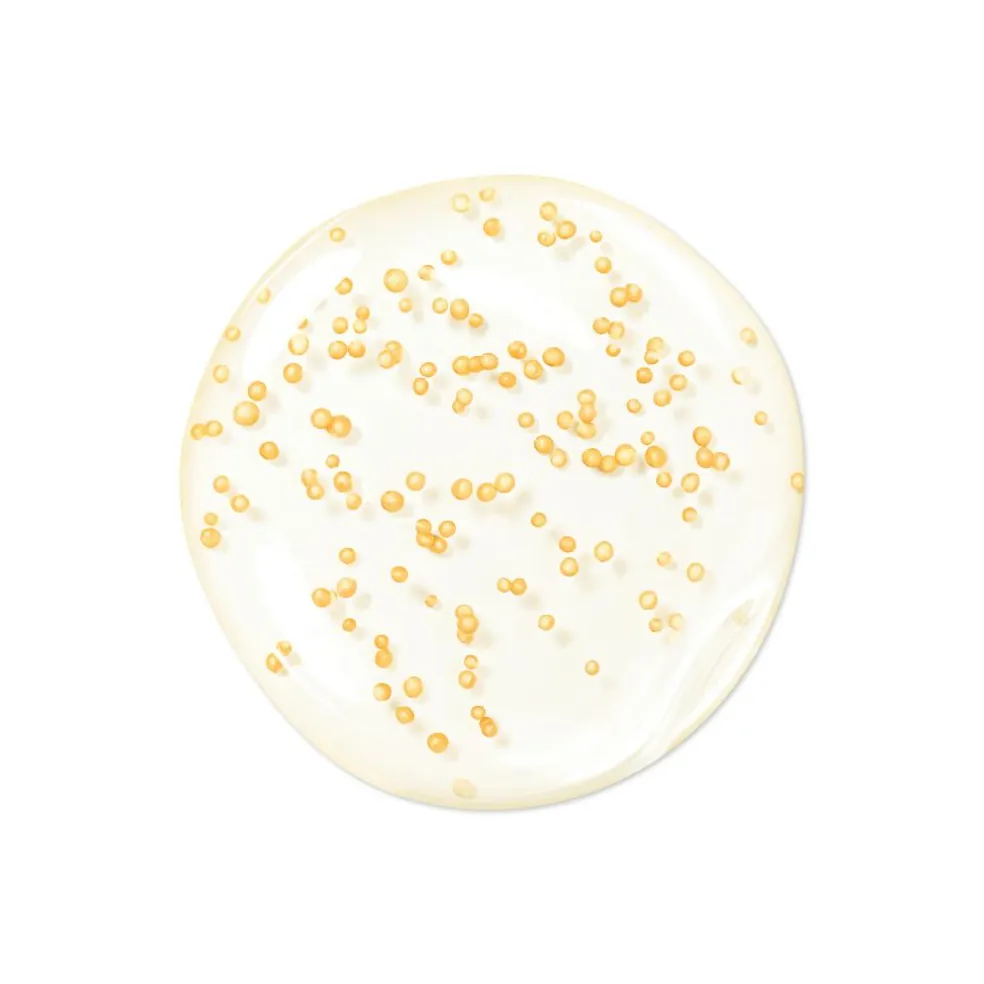 Abeille Royale Youth Watery Oil Serum