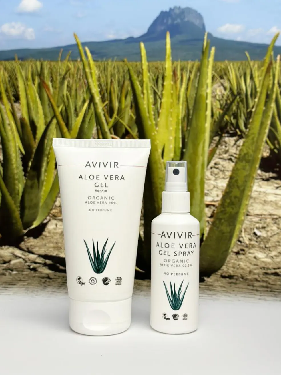 Aloe Vera Gel Repair