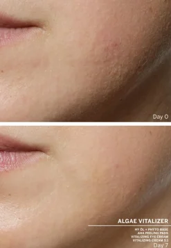 Ampoule Concentrates Algae Vitalizer