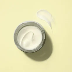 Anti Wrinkle Night Cream