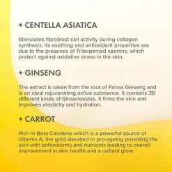 Antioxidant Face Duo