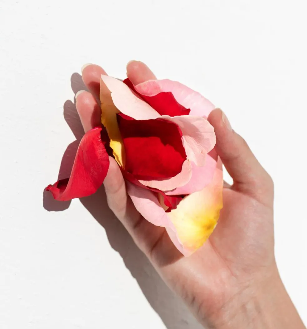 Apothecary Wild Rose Brighter Days Intense-Cream