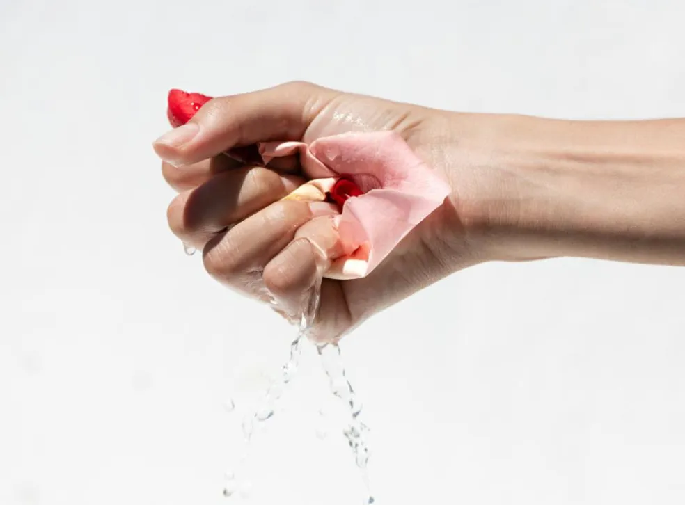 Apothecary Wild Rose Brighter Days Intense-Cream