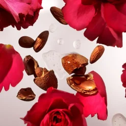 Ayurveda Small Gaveæske