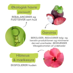 Biology AC Anti-blemish Mattifying Face Cream