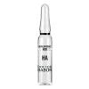 10D Hyaluronic Acid Ampoule Serum Concentrate
