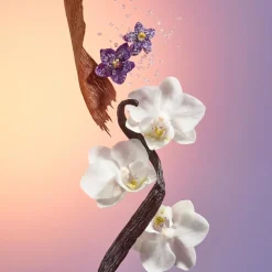 Delicia Drench Shower Oil