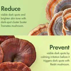 Dr. Weil Mega-Mushroom Dark Spot Correcting Brightening Moisturizer