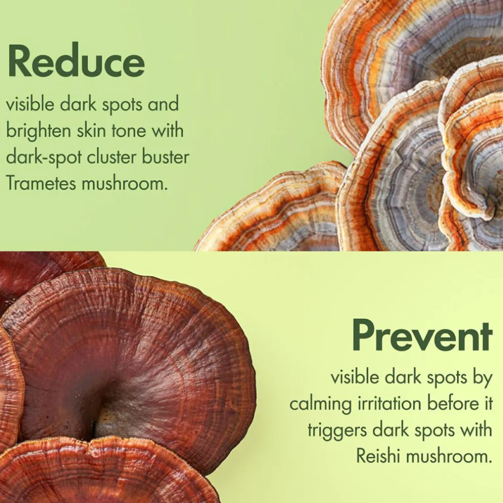 Dr. Weil Mega-Mushroom Dark Spot Correcting Brightening Serum