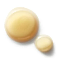 Ferulic Brew Rejuvenating Facial Essence Toner