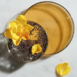 Ferulic Brew Rejuvenating Facial Essence Toner