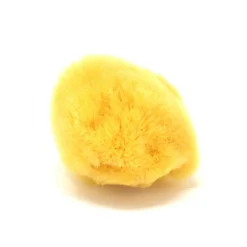 Fillipinsk natursvamp til ansigtet