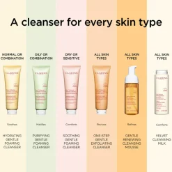 Gentle Foaming Cleanser Soothing