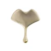 Ginkgo Gua Sha