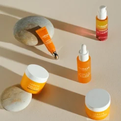 Glow Renew Night Cream