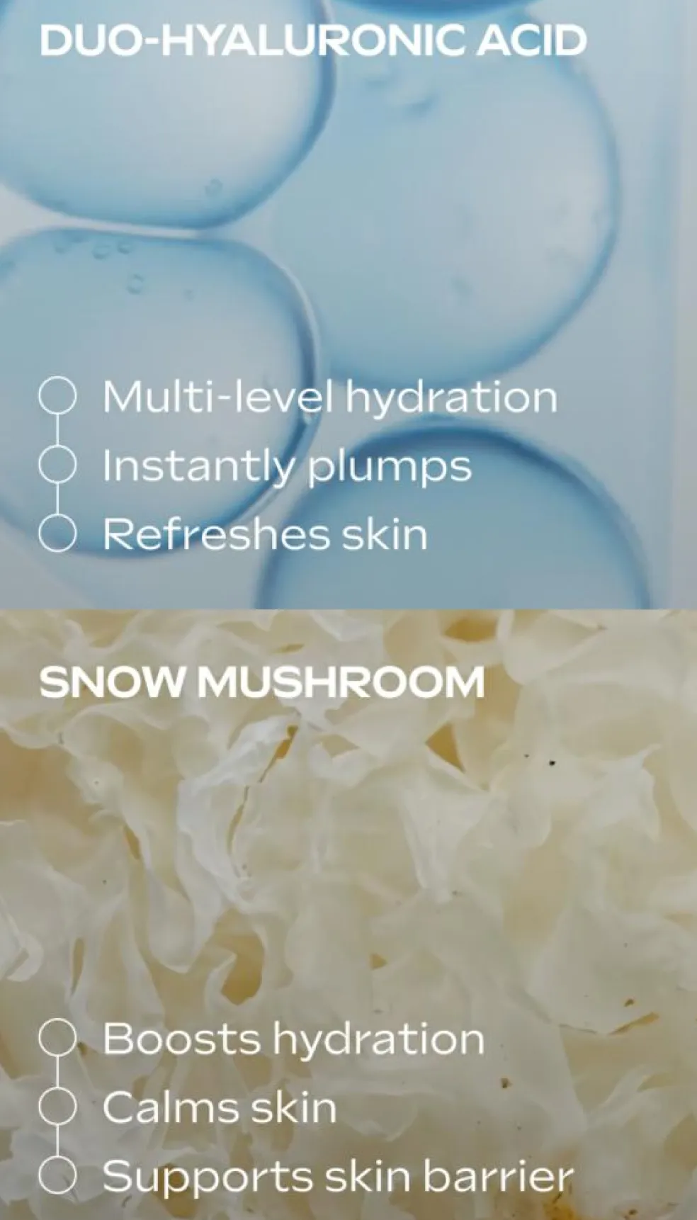 Hyaluronic Moisture Serum Drops