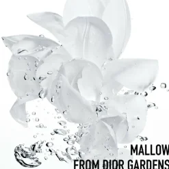 Hydra Life Intense Sorbet Creme