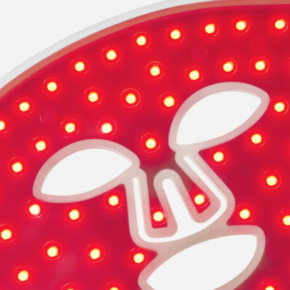 LED Light Therapy Face Mask
