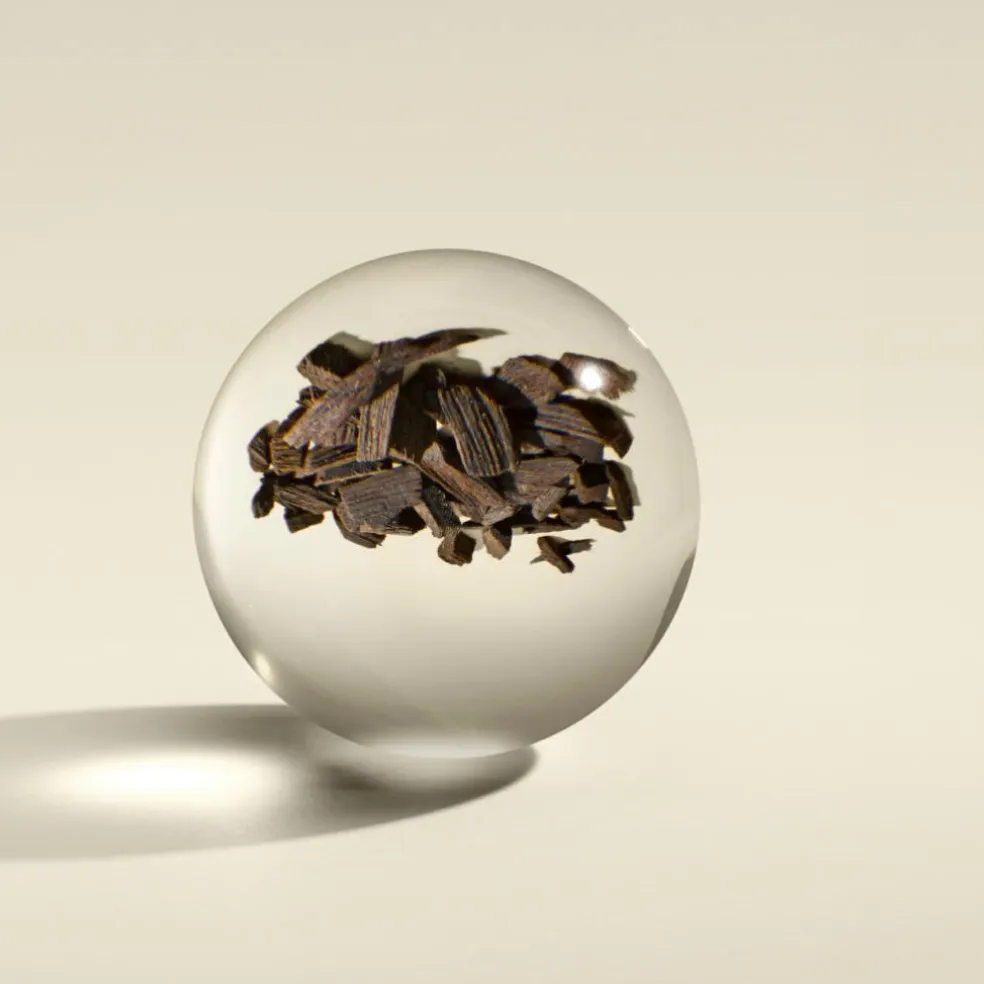 Mesmerising Oudh Accord & Gold Precious Body Oil