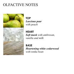 Milk Musk Body Lotion