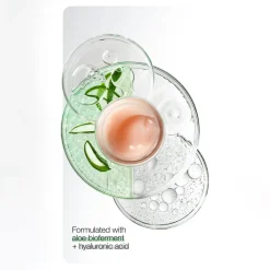 Moisture Surge 100-Hour Auto-Replenishing Moisturizing Face Cream