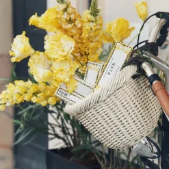 Nata Milky Body Cream