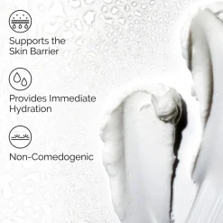 Natural Moisturizing Factors + HA