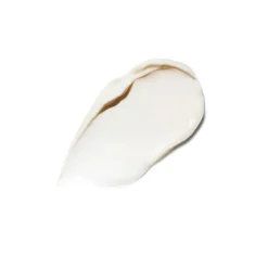 Night Moisturizer Cream