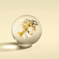 Orange & Bergamot Hand Lotion