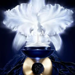 Orchidee Imperiale Day Cream