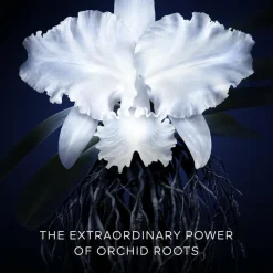 Orchidee Imperiale Day Cream