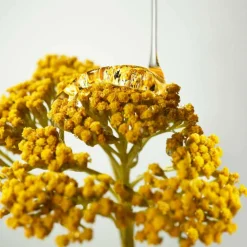 Plantscription Wrinkle Correction Eye Cream With Encapsulated Retinol