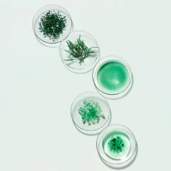 Powercell Decontaminating Mask