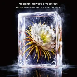 Precious Toning lotion softener