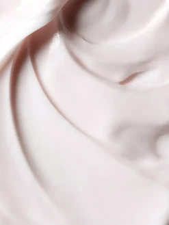 Predermine Anti-Wrinkle Cream