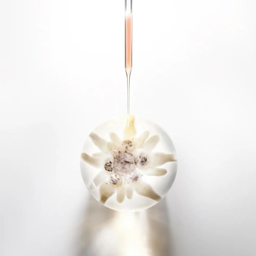 Prodigy Cellglow Soft Regenerating Cream