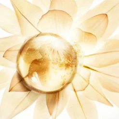 Prodigy Cellglow Soft Regenerating Cream