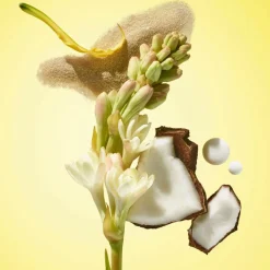 Rio Radiance Body Lotion SPF 50