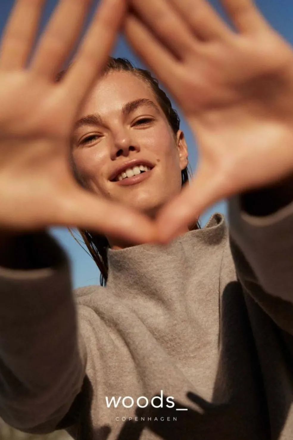 Skin Perfector 2% BHA