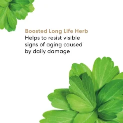 Skinlongevity Long Life Herb Night Treatment
