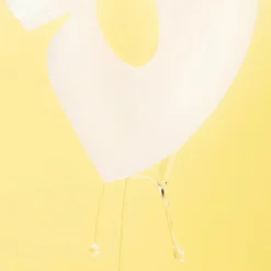 Snail Mucin Glass Glow Hydrogel Mask