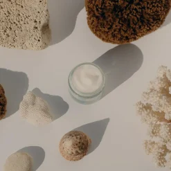 Sorbet Cream Velvet Seaweed