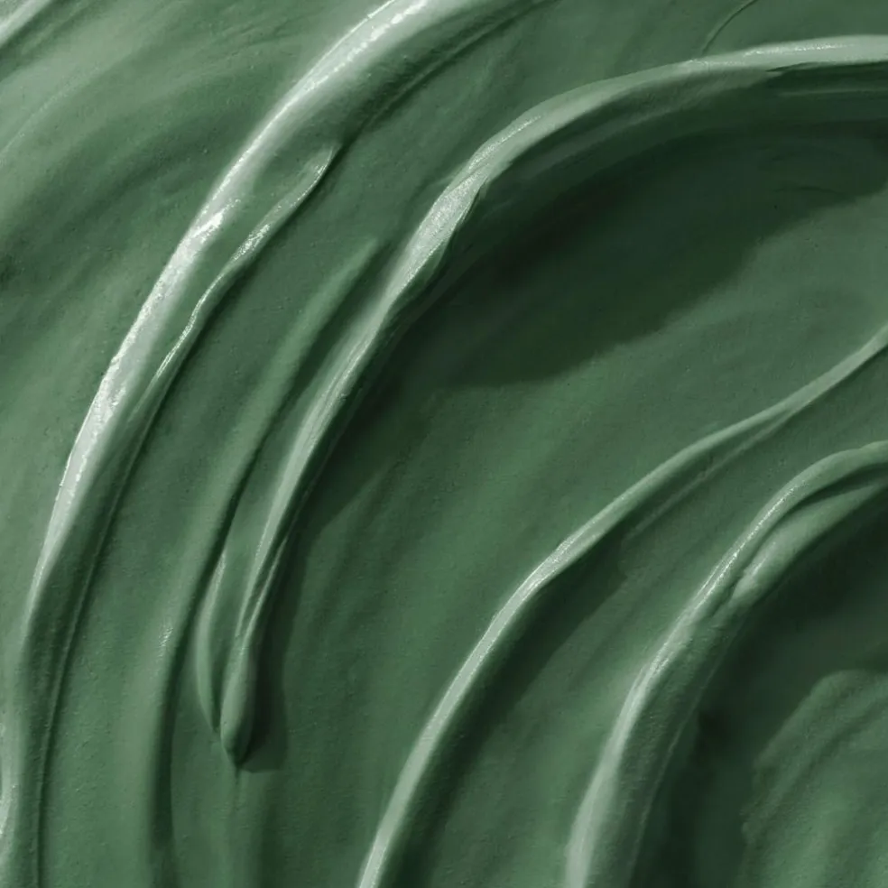 The Deep Pore Purifying Mask