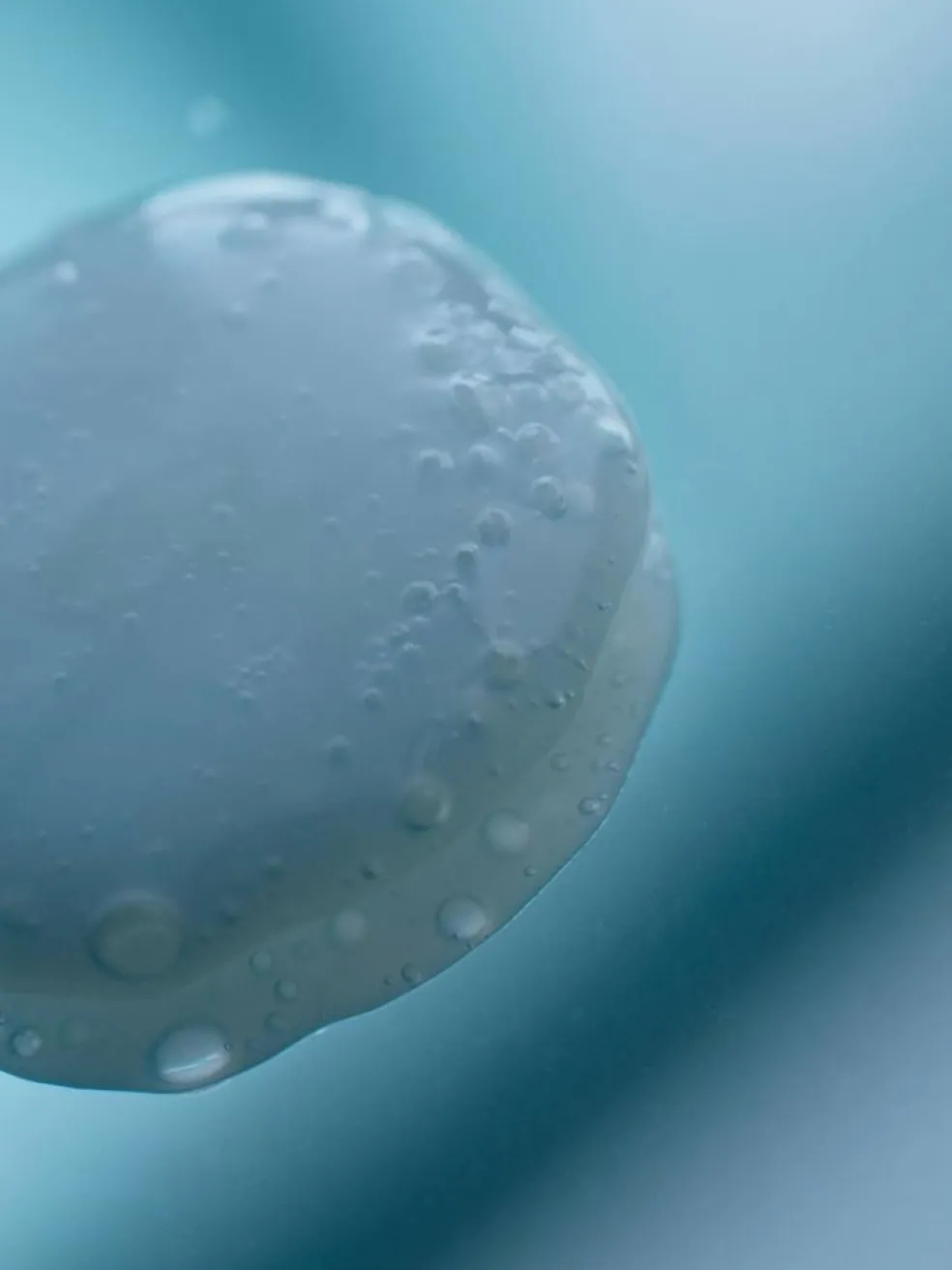 The Eye Makeup Remover