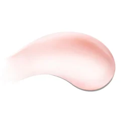 The Lip Volumizer Lip Gloss