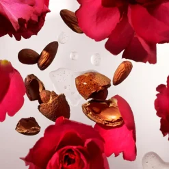 The Ritual of Ayurveda Hand Wash